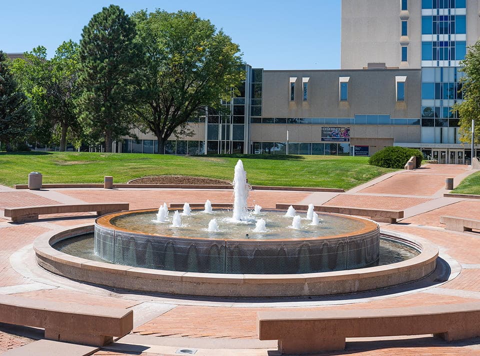 Students walking in front of the library on summer day