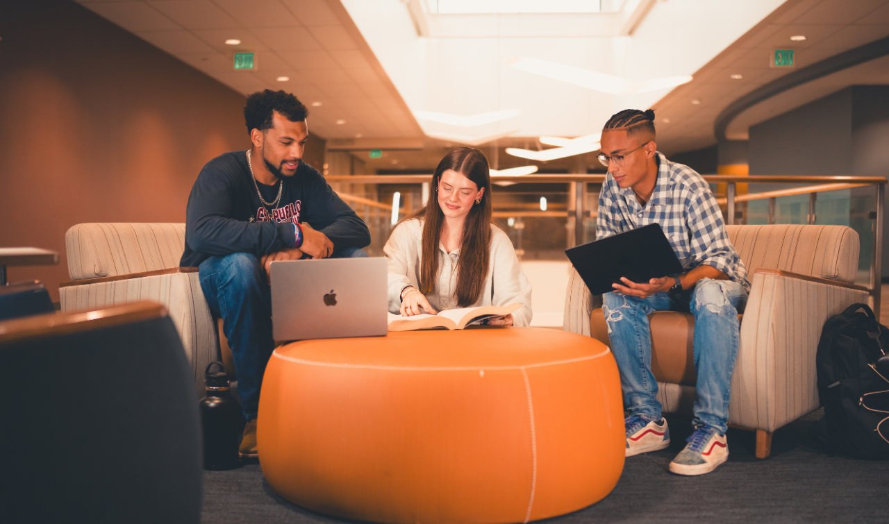 Two males and one female studying together