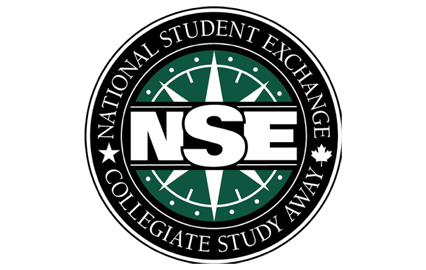 NSE logo